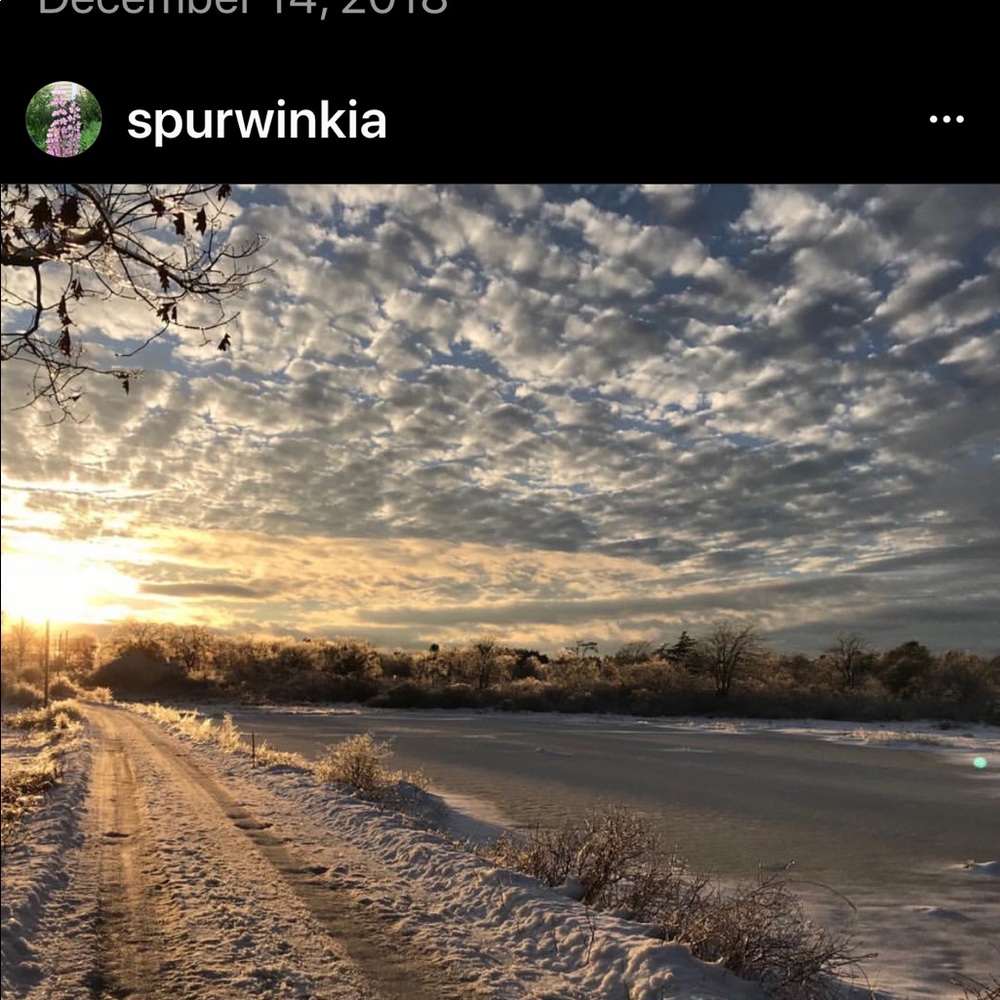 Meet your Posher, Heather